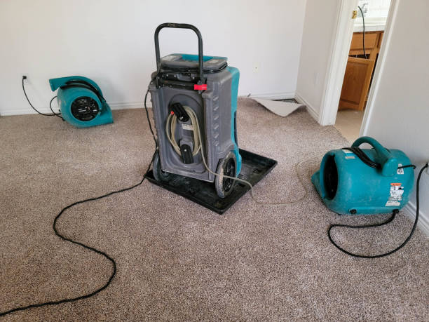Best Water damage restoration mold remediation  in Nashotah, WI