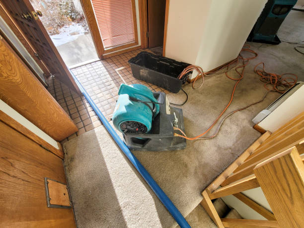 Best Water damage cleanup near me  in Nashotah, WI