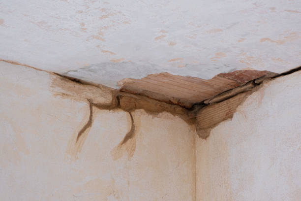Best Sewage cleanup and water damage restoration  in Nashotah, WI