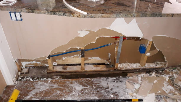 Best Emergency water damage restoration  in Nashotah, WI