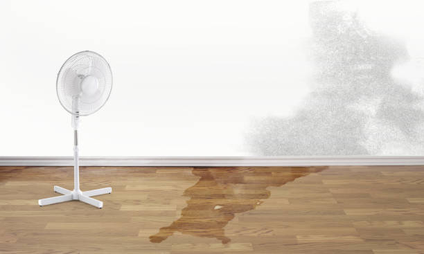 Best Ceiling water damage repair  in Nashotah, WI