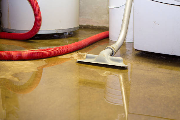 Best Emergency water extraction  in Nashotah, WI