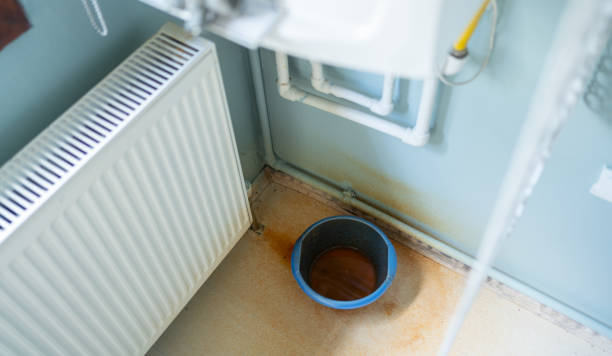 Best Local water damage restoration  in Nashotah, WI