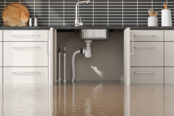 Best Sewage cleanup and water damage restoration  in Nashotah, WI