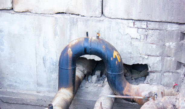 Best Flood restoration services  in Nashotah, WI