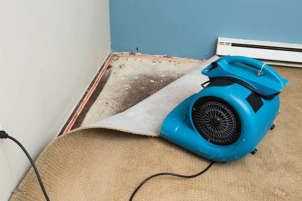 Best Flood damage cleanup  in Nashotah, WI