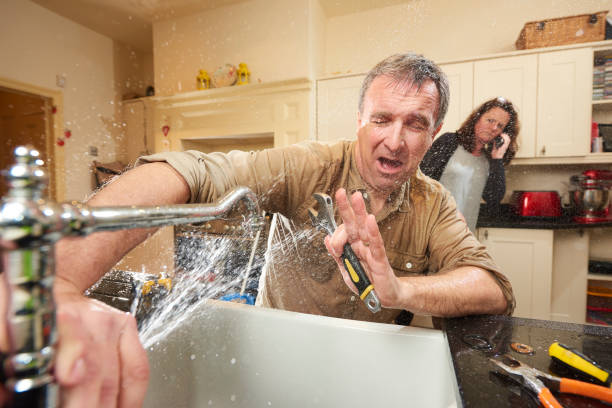 Best Carpet water damage restoration  in Nashotah, WI